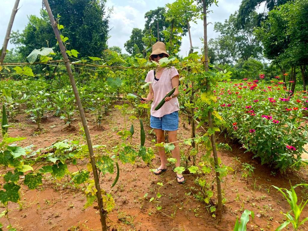 Moni Farm House Wilpattu Hotel Nochchiyagama Luaran gambar