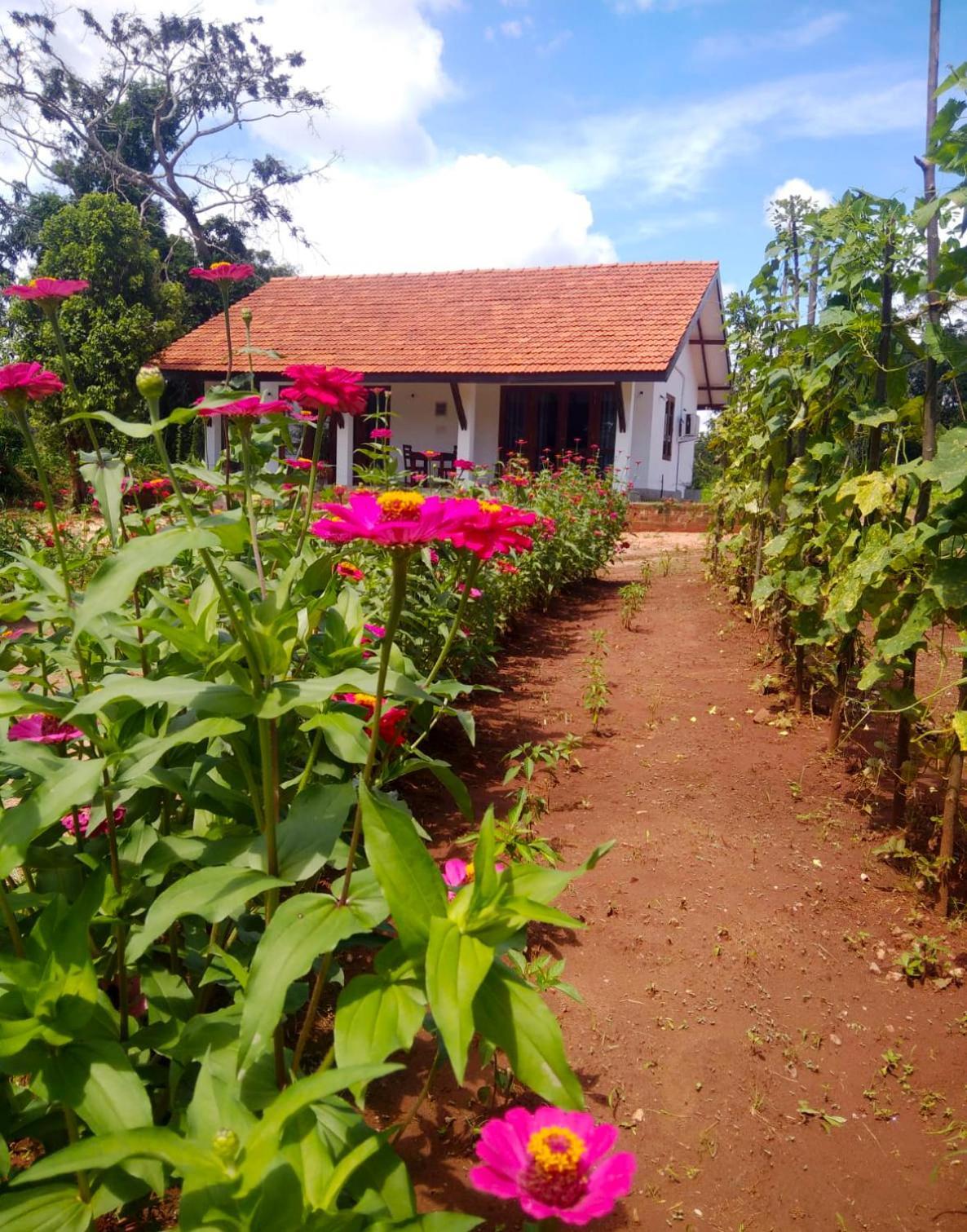 Moni Farm House Wilpattu Hotel Nochchiyagama Luaran gambar