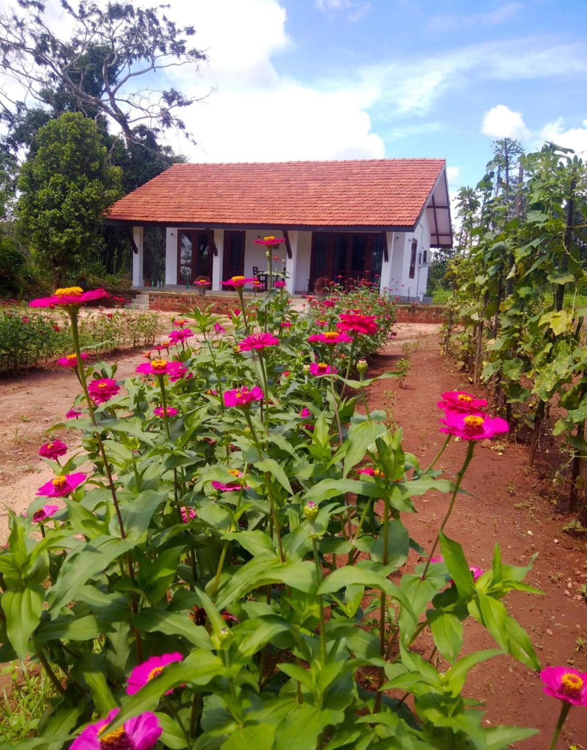 Moni Farm House Wilpattu Hotel Nochchiyagama Luaran gambar