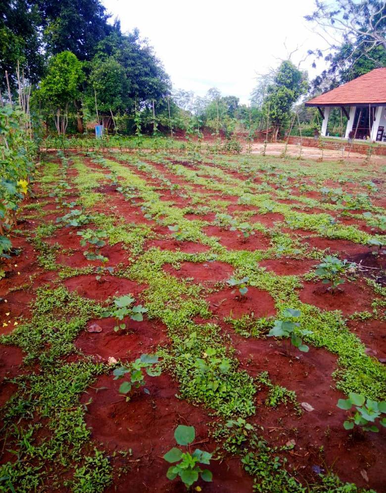 Moni Farm House Wilpattu Hotel Nochchiyagama Luaran gambar